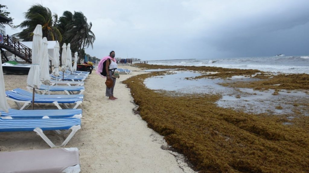 Playa del Carmen, una de las zonas más afectadas por el avance del