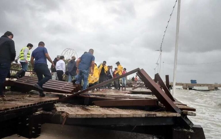 Pierde México 4.9 millones de hectáreas de ecosistemas