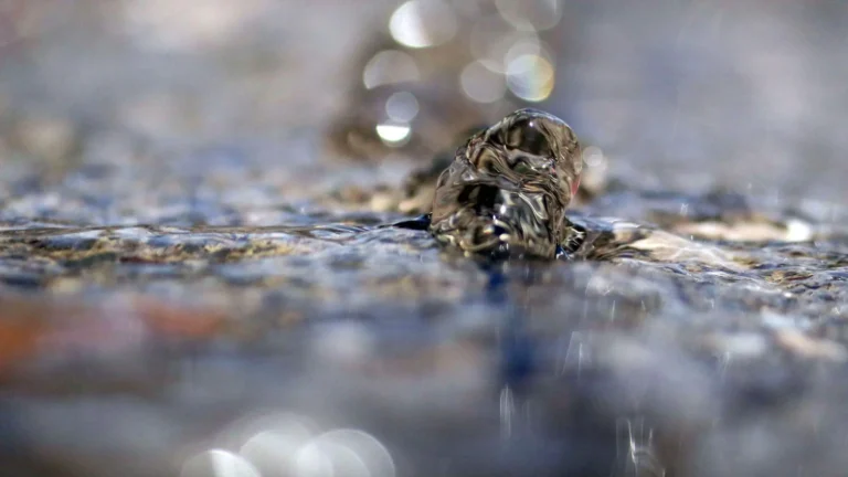 21 ayuntamientos van por ajuste en el costo del servicio de agua