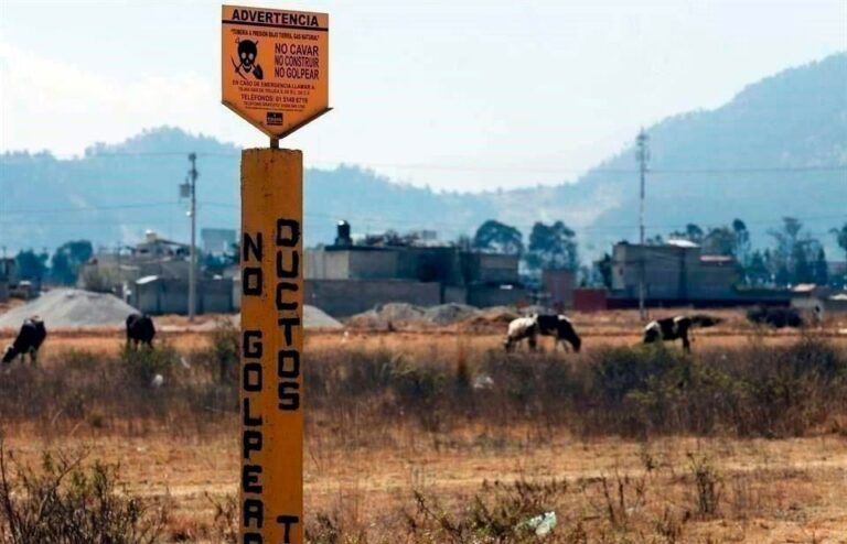 Pelea crimen siete ductos en Guanajuato y Querétaro