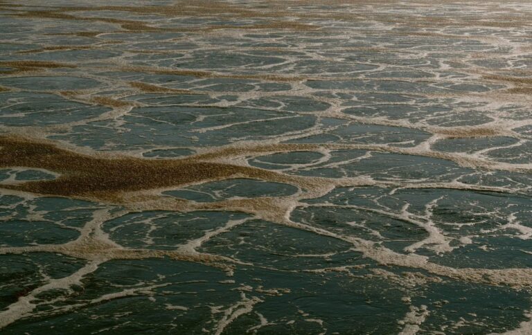 Químicos indestructibles, el peligro oculto en los fertilizantes que usamos