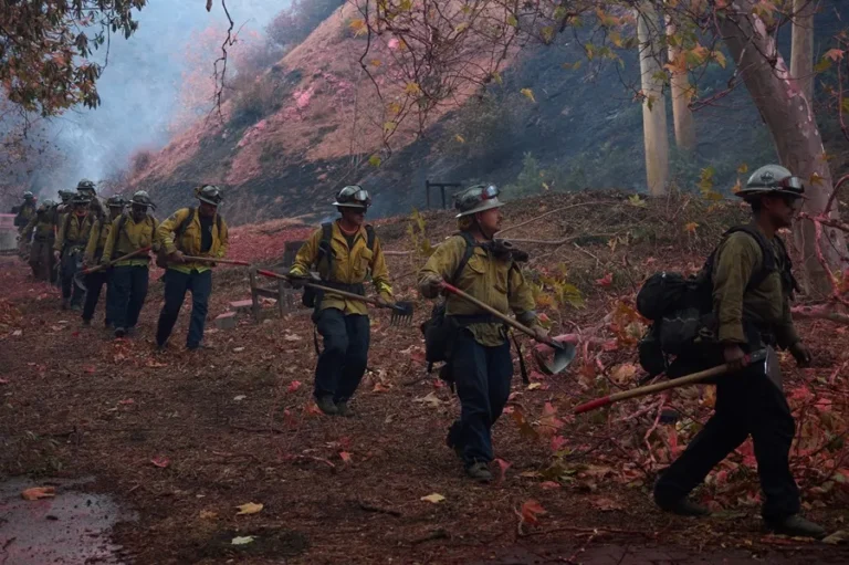 México envía un equipo especial a California para apoyar combate contra incendios forestales