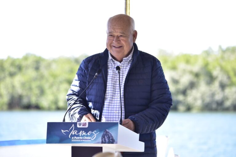 En marcha temporada de avistamiento de ballena gris en Puerto Chale