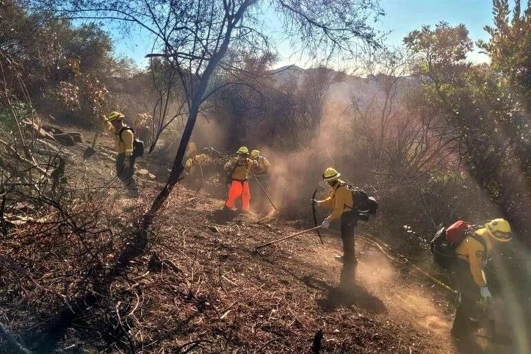 Participa Defensa en búsqueda y rescate en LA