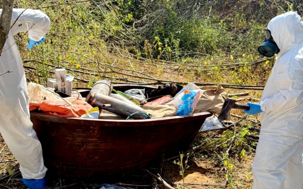 Asegura Marina laboratorios y plantío clandestinos en Sinaloa