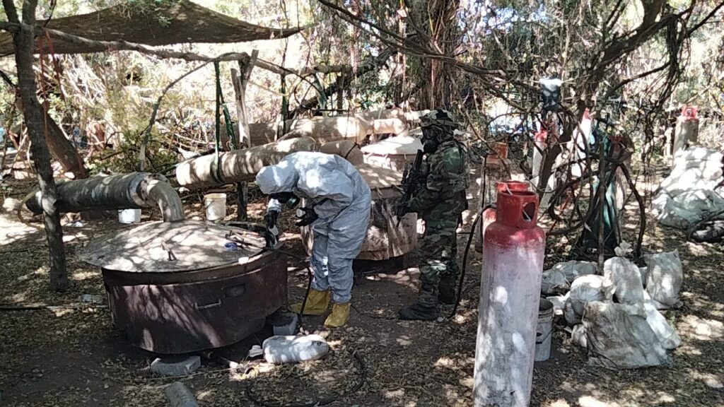 Asegura Marina laboratorios y plantío clandestinos en Sinaloa