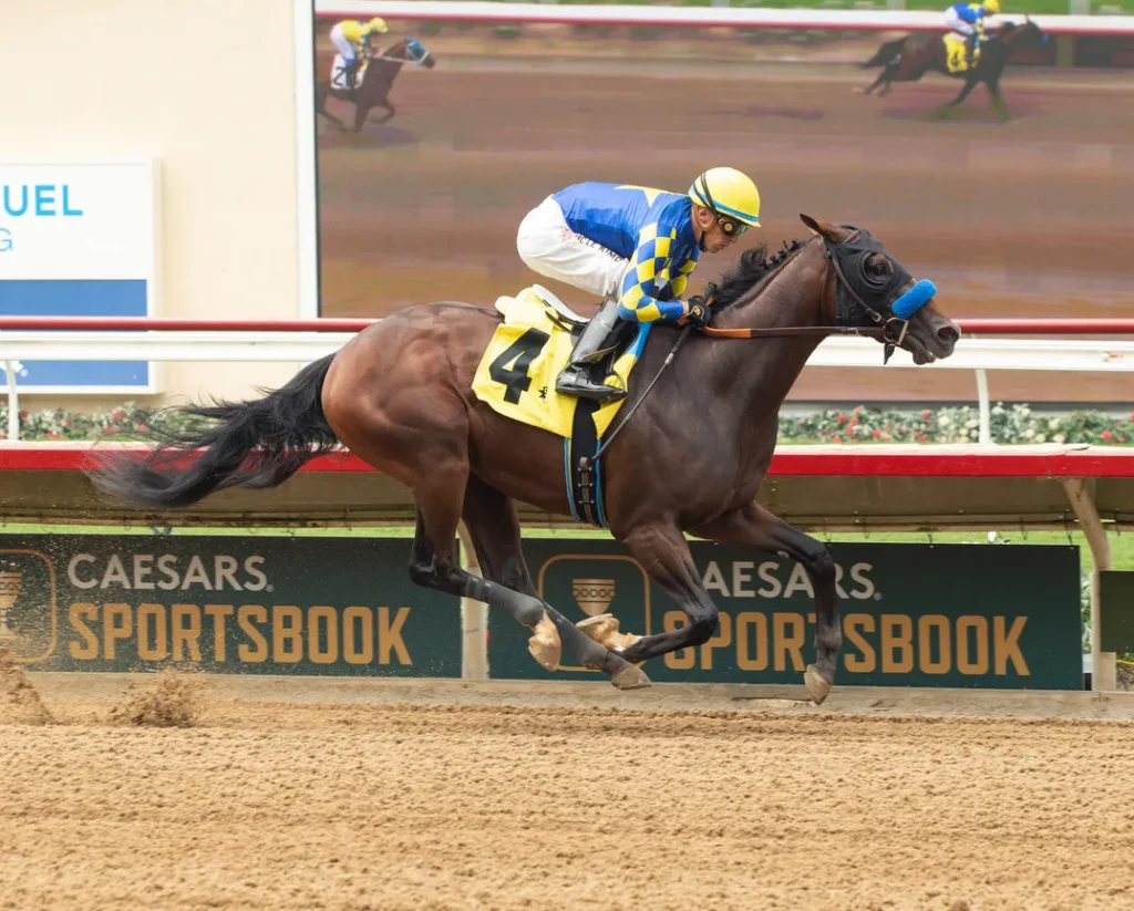 Getaway Car gana la vigésima edición del Sunland Derby