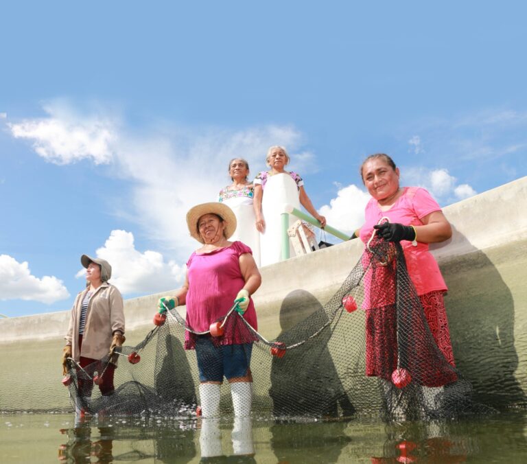 Programa Bienpesca: requisitos para recibir 7,500 pesos de apoyo