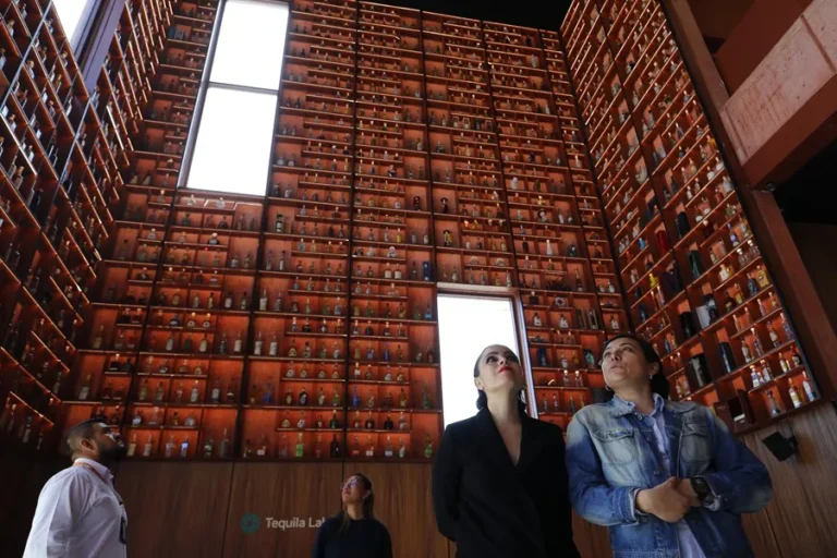 México Celebra su Bebida Emblemática con el Museo y Centro de Negocios Tequila Lab