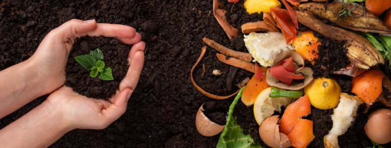 Los residuos orgánicos, fuente de vida para la humanidad
