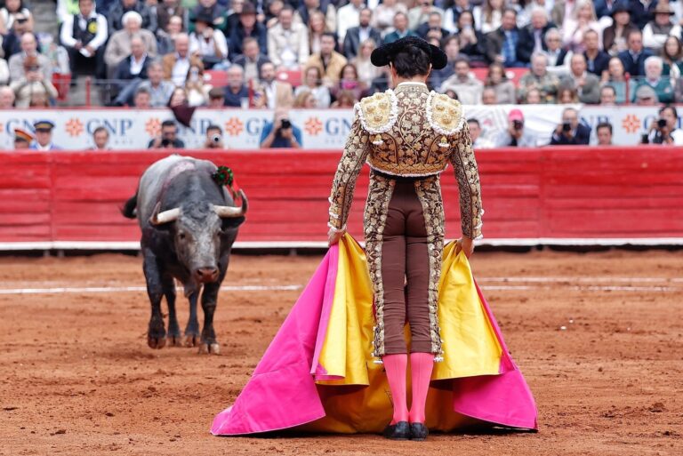 Sheinbaum apoya corridas sin violencia; taurinos se oponen