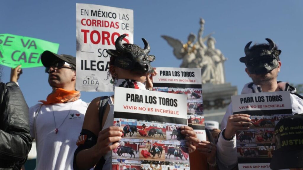 CDMX prohíbe corridas de toros con violencia en histórica reforma