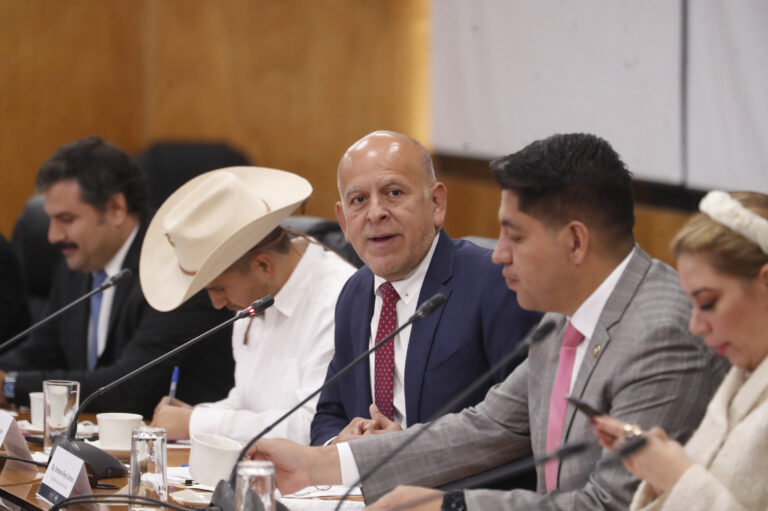 Senado analiza nombramiento de Ferrer Aguilar como representante ante la Unesco