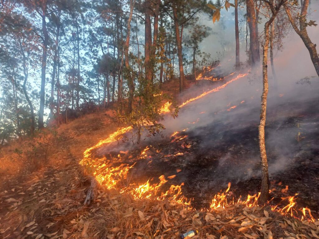 Amenaza ahora incendio forestal a Casas Grandes