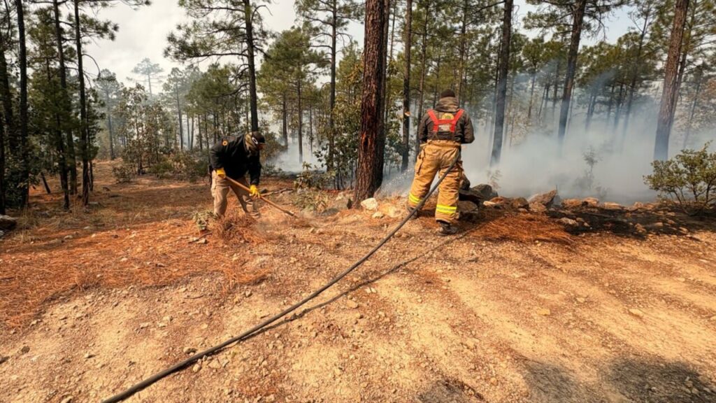 Amenaza ahora incendio forestal a Casas Grandes