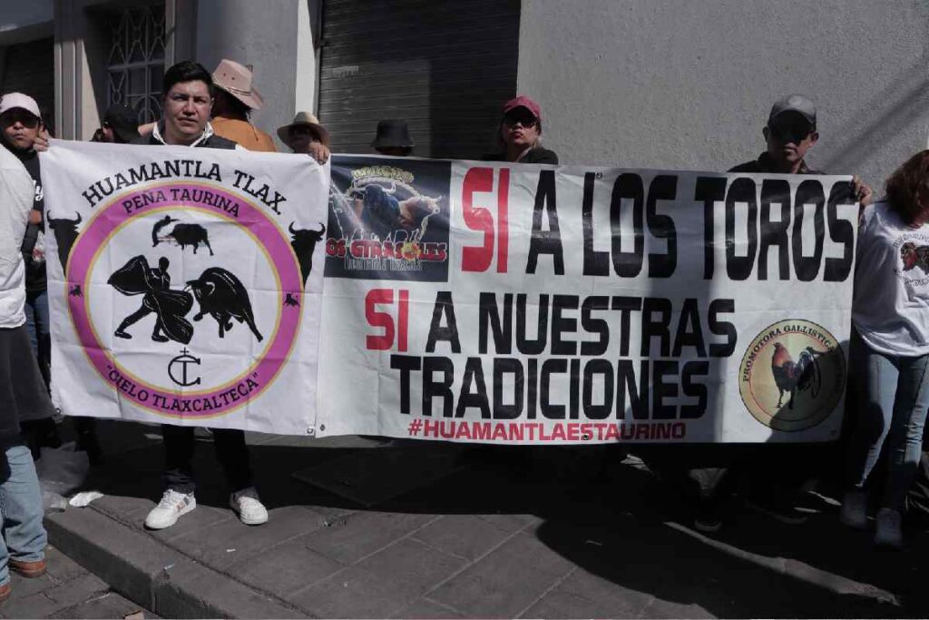 CDMX prohíbe corridas de toros con violencia en histórica reforma