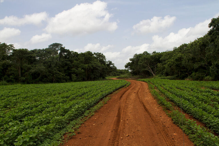 Grandes acaparadores concentran más de 39 mil hectáreas de propiedad social en México