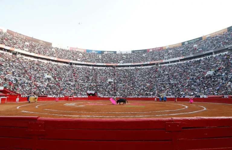 Sheinbaum Aboga las Corridas de Toros Sin Maltrato ni Muerte Animal