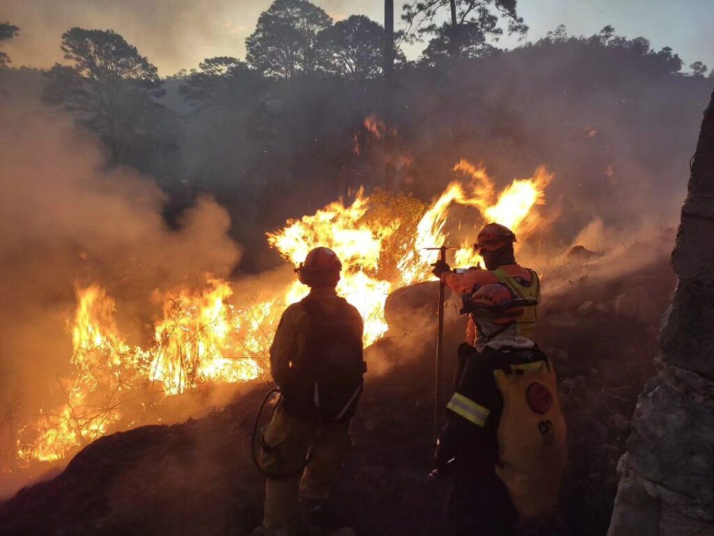 Más de 15 mil hectáreas arrasadas por incendios forestales en Honduras 1 Más de 15 mil hectáreas arrasadas por incendios forestales en Honduras
