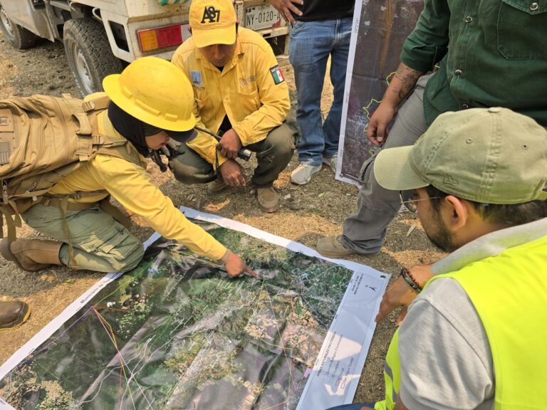 Incendio en Tepoztlán ya ha consumido más de 600 hectáreas; sólo 30% controlado