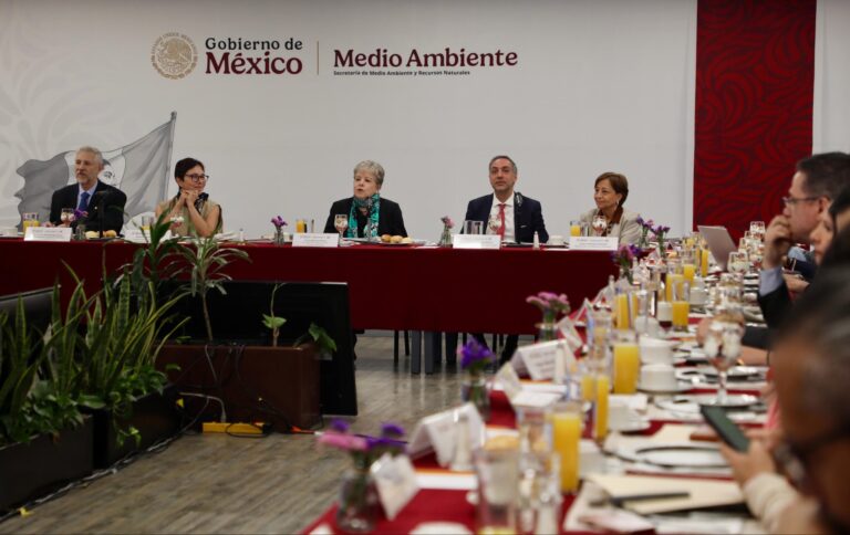 Semarnat plantea restauración integral en zona afectada por el Tren Maya