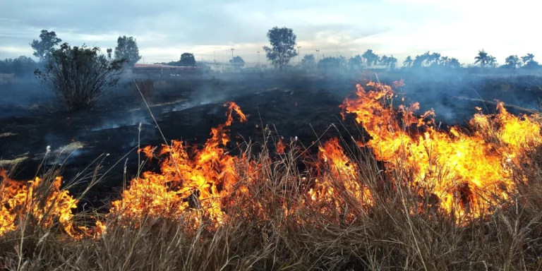 Avanza control de incendio en la Sierra de Puruagua; muere voluntario