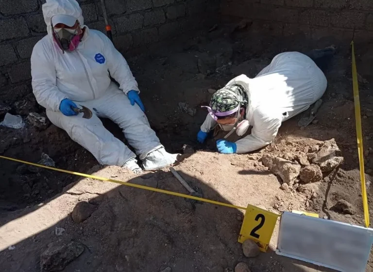 Hallan seis fosas clandestinas en Tecomán; restos humanos están en análisis