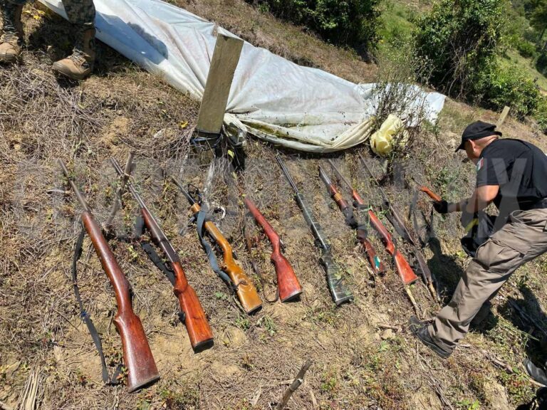 Destruyen plantío con 20 mil plantas de marihuana en Chiapas