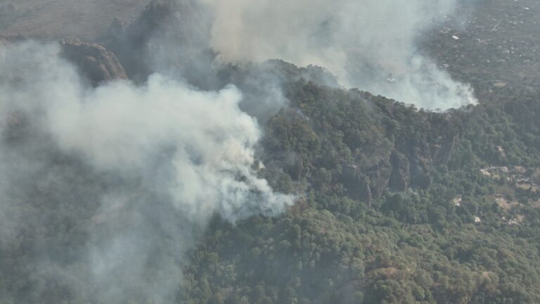 Incendio forestal afecta el Parque Nacional El Tepozteco