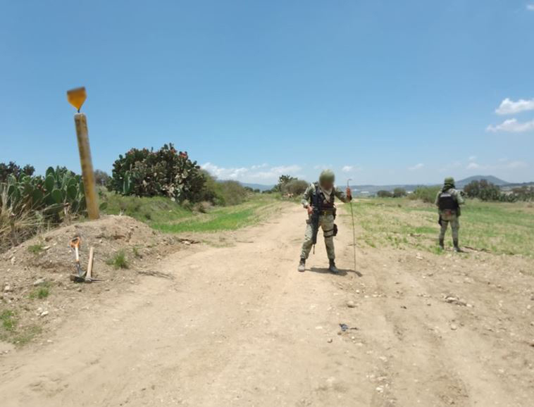 Acciones relevantes del Gabinete de Seguridad: decomisos millonarios y plantíos destruidos el 7 de mayo 27 Acciones relevantes del Gabinete de Seguridad: decomisos millonarios y plantíos destruidos el 7 de mayo