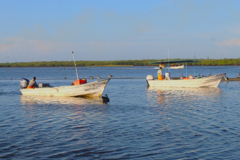 Impulsa BCS el fortalecimiento del sector pesquero y acuícola