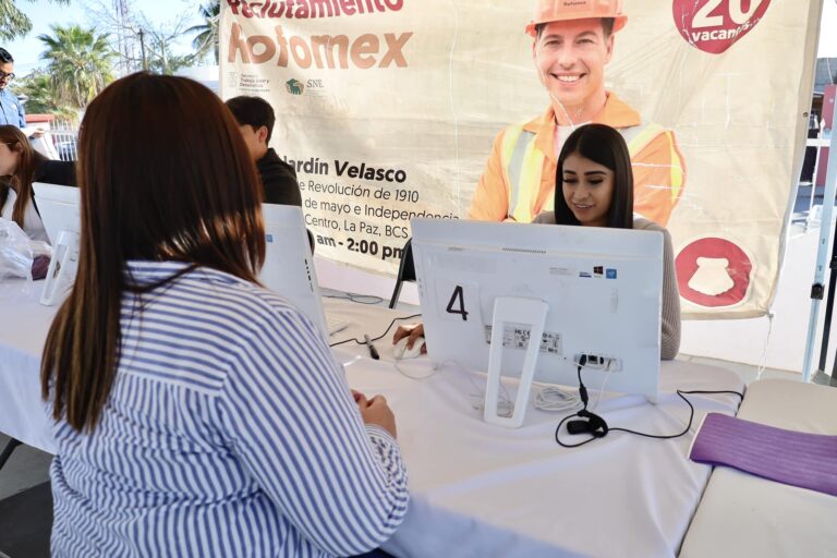 Baja California Sur, líder nacional en empleo formal y desarrollo laboral