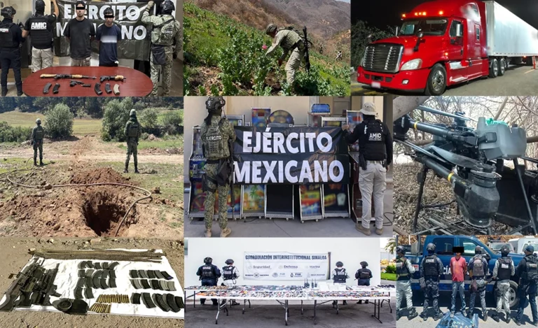 Operativos del Gabinete de Seguridad: Decomisos Millonarios y Destrucción de Plantíos el 7 de Mayo