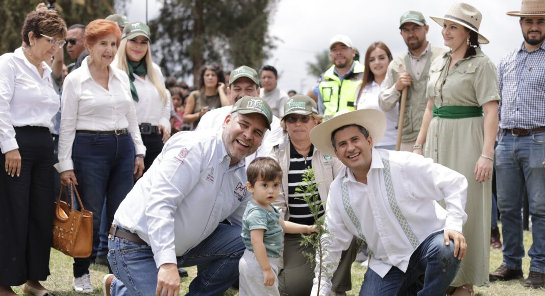 Más de 10 millones de árboles para reforestar Michoacán