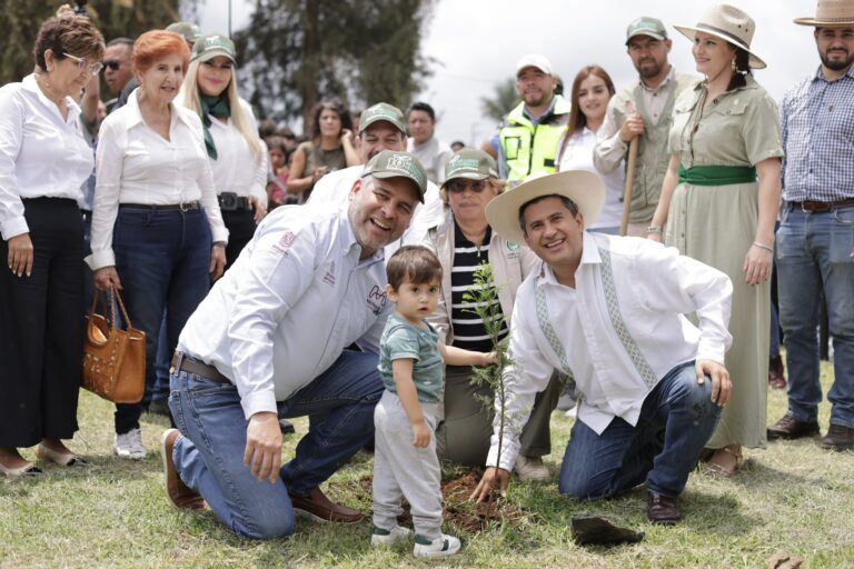 Más de 10 millones de árboles para reforestar Michoacán