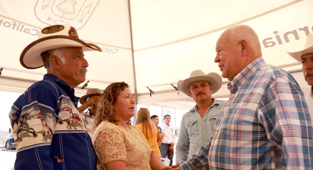 Baja California Sur se declara libre de tuberculosis bovina