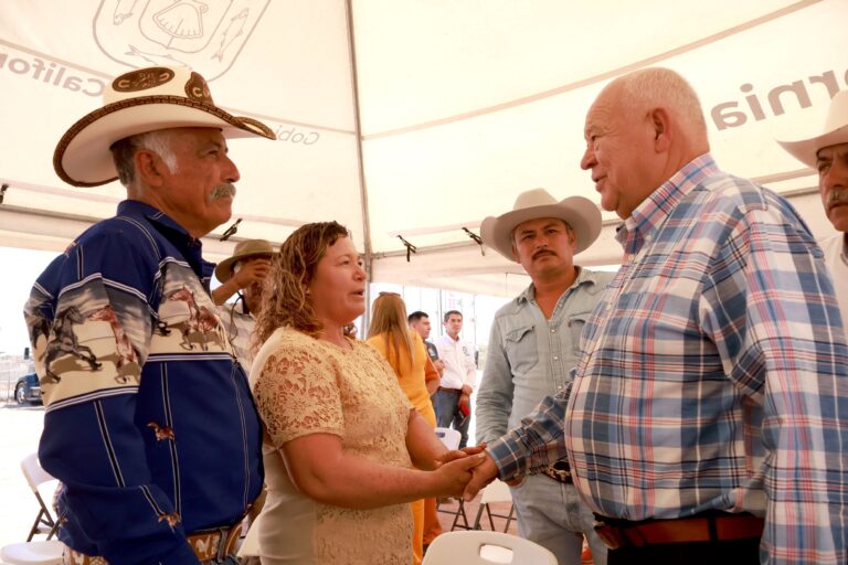 Baja California Sur se declara libre de tuberculosis bovina