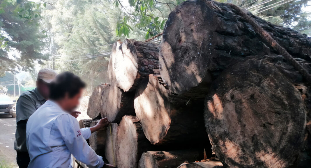 Desmantelan 9 aserraderos en Huitzilac como parte de estrategia para proteger el bosque de agua