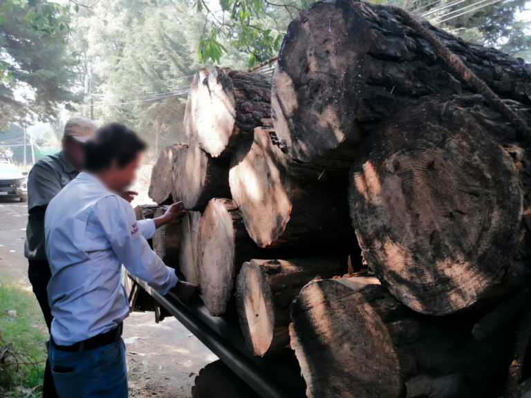 Desmantelan 9 aserraderos en Huitzilac como parte de estrategia para proteger el bosque de agua