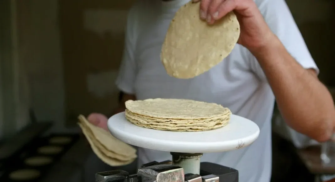 Buscan reducir 5% el precio de la tortilla: Sheinbaum