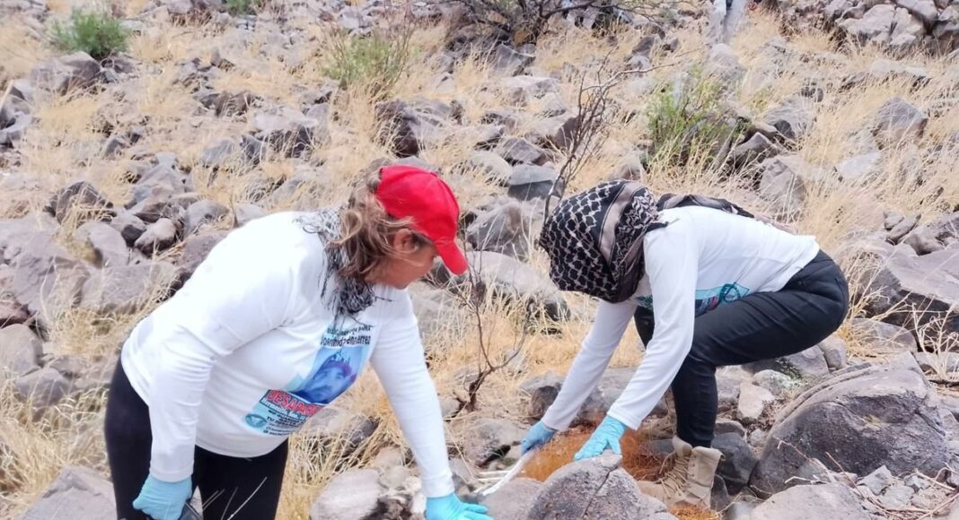 Localizan restos de al menos seis personas en cerro de Pitiquito, Sonora