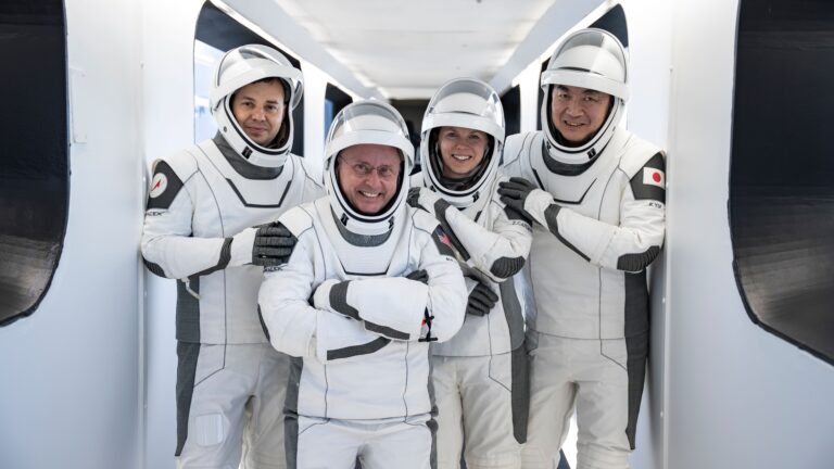 Crew-11 despega rumbo a la EEI para explorar Marte