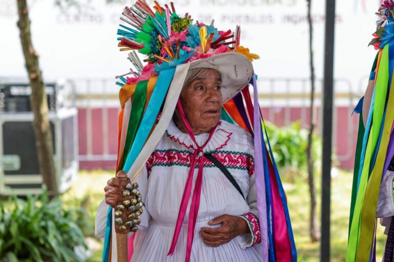 Ariadna Montiel destaca derechos de pueblos originarios