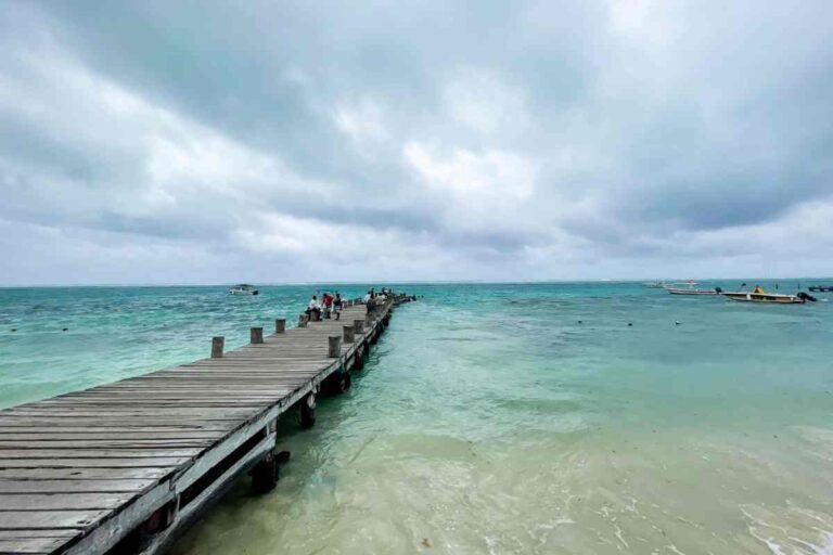 Semarnat anula autorización ambiental al cuarto muelle en Cozumel