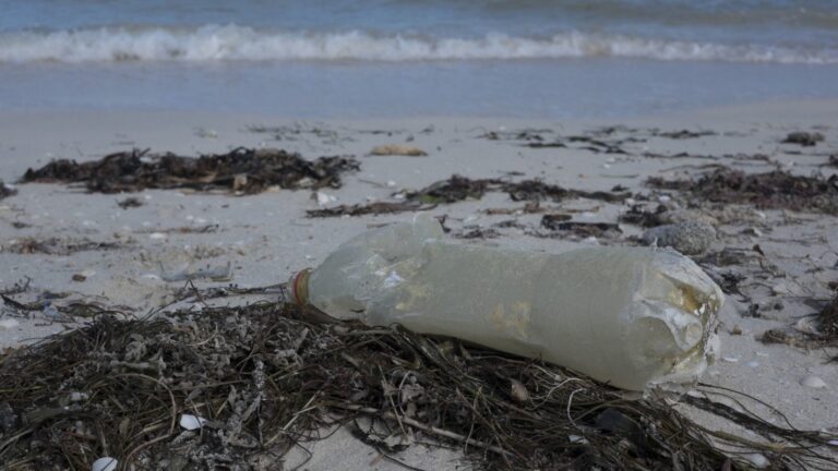 Recolectan 27 toneladas de residuos en costas de Sonora y Sinaloa