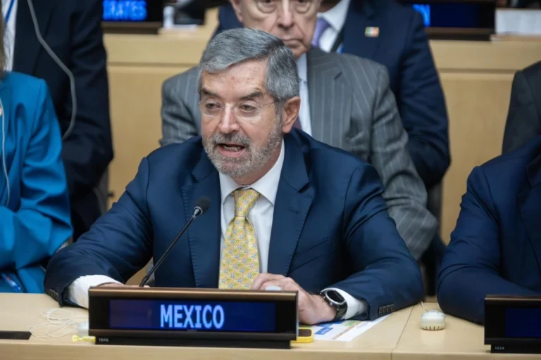 México pide reforma profunda a la ONU: Juan Ramón de la Fuente