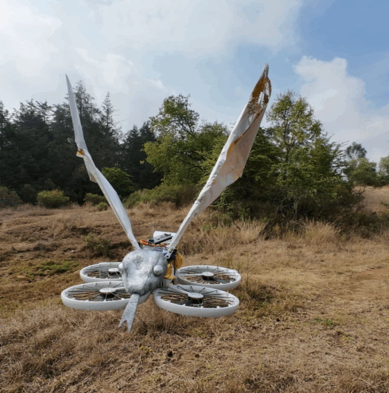 Daris Rubio, artista e inventora hñähñu, une tecnología, arte y tradición para cuidar el río Amajac