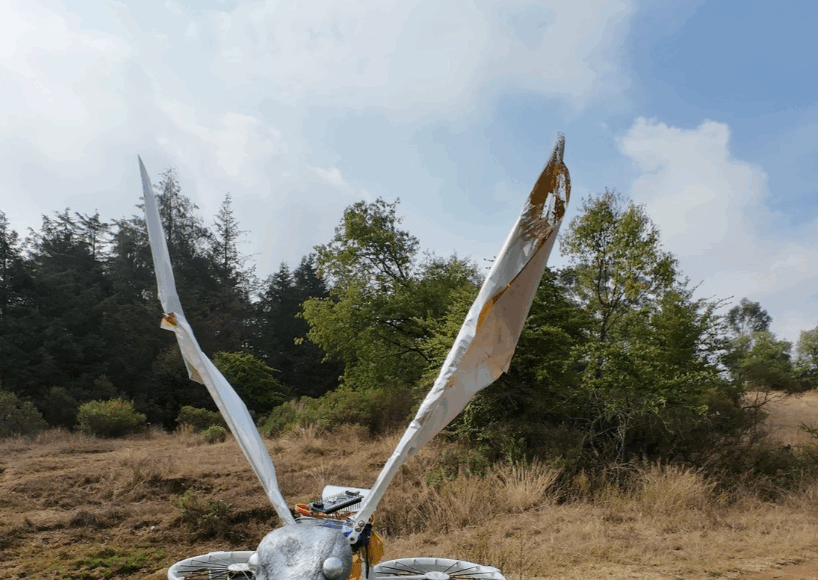 Daris Rubio, artista e inventora hñähñu, une tecnología, arte y tradición para cuidar el río Amajac