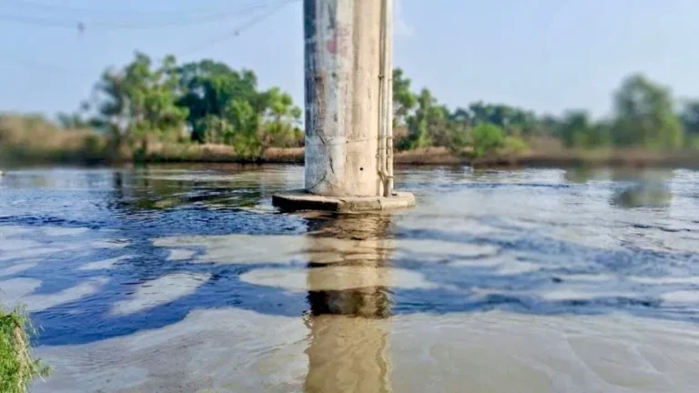 Semar y Pemex contienen derrame de hidrocarburos en Veracruz