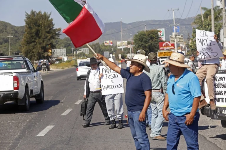 Sheinbaum asegura que continúa el diálogo con agroproductores